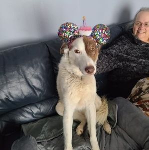 Meet your Posher, Nadine